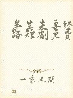 半生夫妻终成陌路短剧免费观看全集