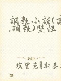 调教小说(高h,调教)双性