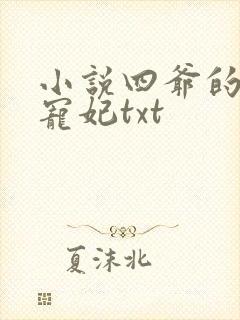 小说四爷的心尖宠妃txt