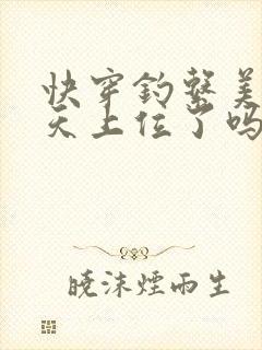 快穿钓系美人今天上位了吗txt