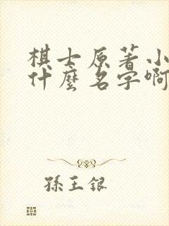 棋士原著小说叫什么名字啊