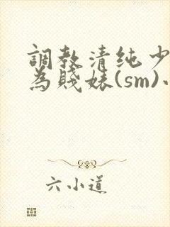调教清纯少女沦为贱婊(sm)小说封面