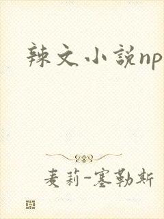 辣文小说np文