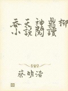吞天神鼎柳无邪小说阅读