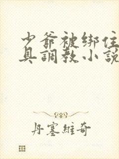 少爷被绑住用刑具调教小说