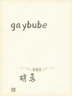 gaybube