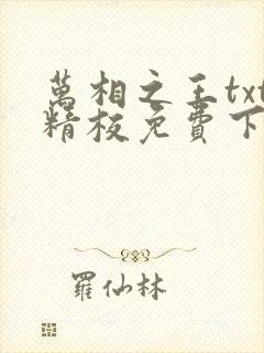 万相之王txt精校免费下载