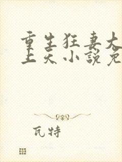 重生狂妻大佬宠上天小说免费听书