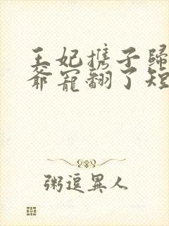 王妃携子归来王爷宠翻了短剧免费