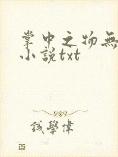 掌中之物无删减小说txt