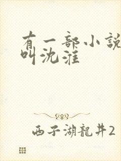 有一部小说主角叫沈淮