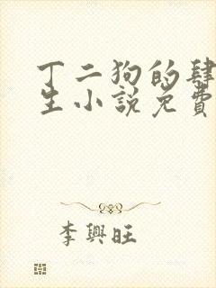 丁二狗的肆意人生小说免费阅读封面