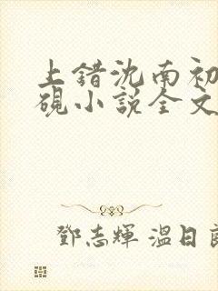 上错沈南初陆时砚小说全文免费阅读