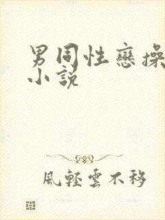 男同性恋操屁股小说