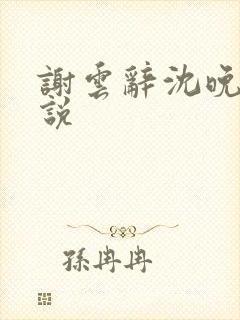 谢云辞沈晚梨小说