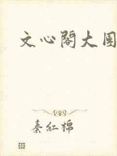 文心阁大团结封面