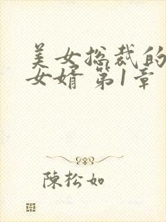 美女总裁的上门女婿 第1章