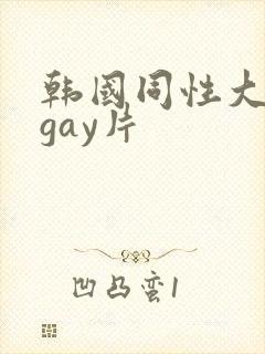 韩国同性大尺度gay片