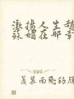激扬人生赵大宝苏媚在哪章封面
