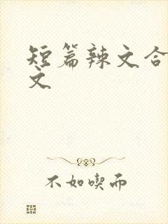 短篇辣文合集h文