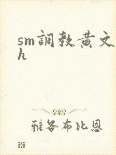 sm调教黄文高h