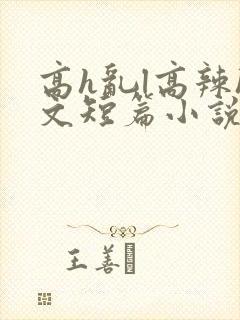 高h乱l高辣h文短篇小说男男