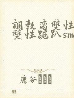 调教脔双性美人双性跪趴sm封面