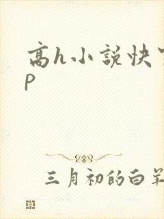 高h小说快穿np