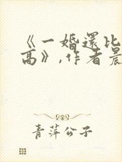 《一婚还比一婚高》,作者晨雾的光封面
