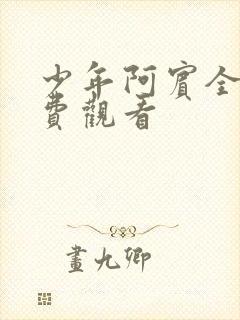 少年阿宾全文免费观看