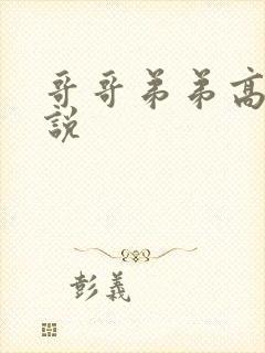 哥哥弟弟高h小说