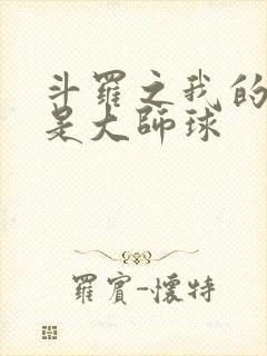 斗罗之我的武魂是大师球封面