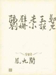 隔壁老王郑小爽刘姗小说免费阅读