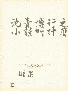沈青傅行之原著小说叫什么名字