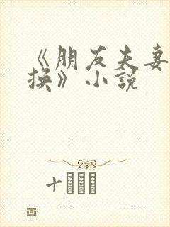 《朋友夫妻:交换》小说