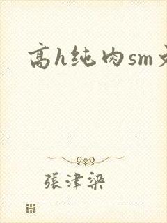 高h纯肉sm文