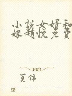 小说女婿和丈母娘赵悦免费阅读