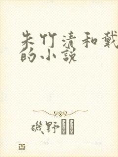 朱竹清和戴沐白的小说