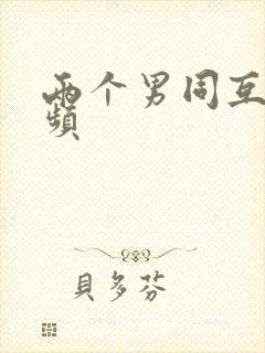 两个男同互操视频