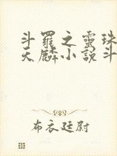 斗罗之灵珠神剑天麟小说斗