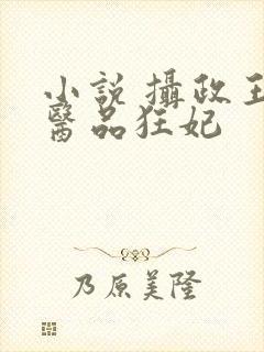 小说 摄政王的医品狂妃封面