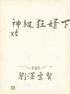 神级狂婿下载txt