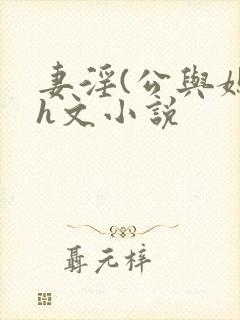 妻淫(公与媳7h文小说