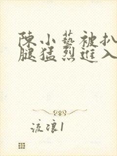 陈小艺被扒开双腿猛烈进入封面