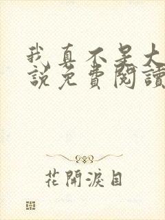 我真不是大佬小说免费阅读