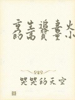 重生追妻火葬场的高质量小说