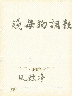 贱母狗调教文