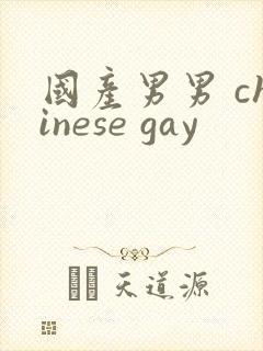 国产男男 chinese gay封面