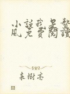 小说我是赘婿岳风免费阅读