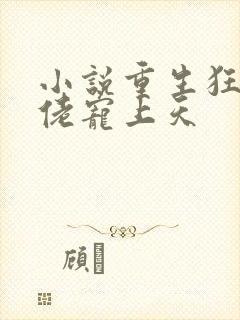 小说重生狂妻大佬宠上天封面